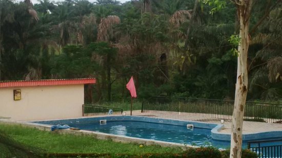 YOMIGHTY unisex beauty CONCEPTZ & SPA – Beauty and Skincare in Ado Ekiti, Ekiti (Gallery image 2)