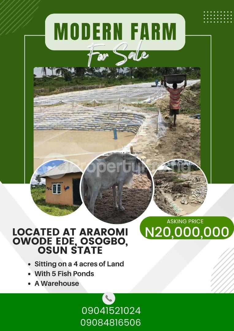 Best Spa in Osogbo & Owode Ede (Spapool Republic) – Massage and Therapy in Osogbo, Osun