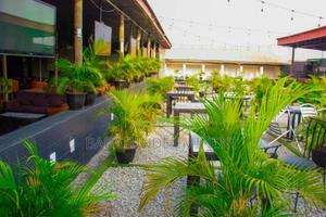 Berrymist Lounge – Night Club in Osogbo, Osun