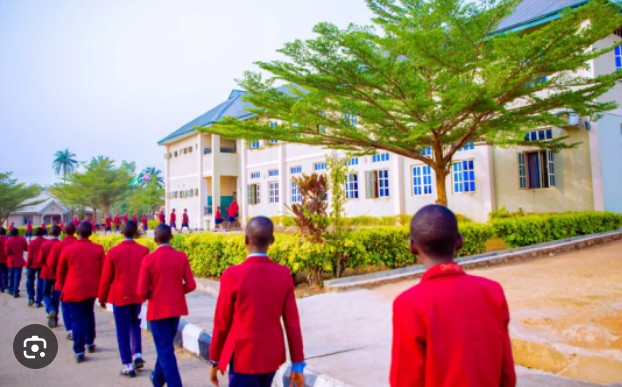 Verified Sports – Sporting Goods in Benin City, Edo (Gallery image 5)