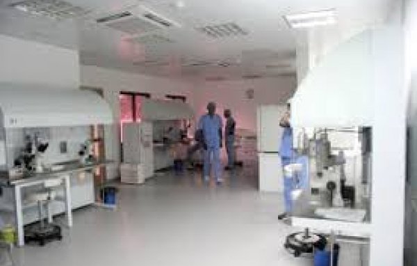 Ladeeva Hair Clinic – Salon and Barbing in Kaduna, Kaduna (Gallery image 5)