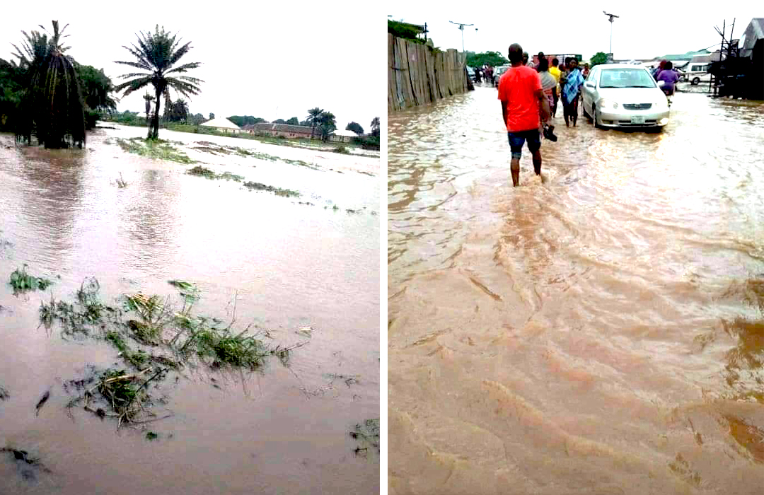 KEEP FIT.NG – Gym and Fitness Center in Makurdi, Benue (Gallery image 3)